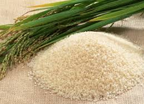 Consider the use of local rice for school feeding – Rice farmers