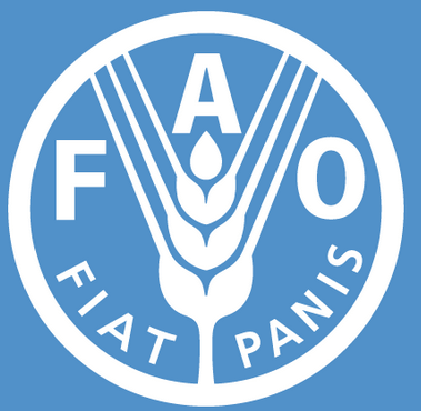 Pollutants from agriculture a serious threat to world’s water – FAO