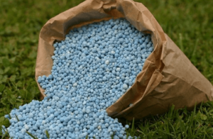 Government supplies 1.5 million bags of fertilizer to UW farmers