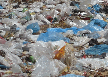 British Biochemist tasks Ghana to rid the environment of plastic pollution
