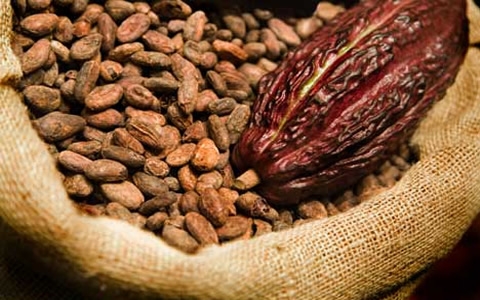 It’s an industry practice to allow factories to import cocoa beans — COCOBOD