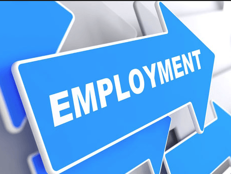Government urged to adopt employment equity policy to address challenges facing PWDs