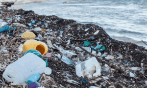 Campaign launched against environmental and marine plastic pollution
