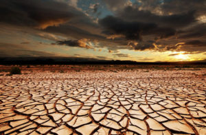 Adverse climate conditions, still threat to food security – Economist