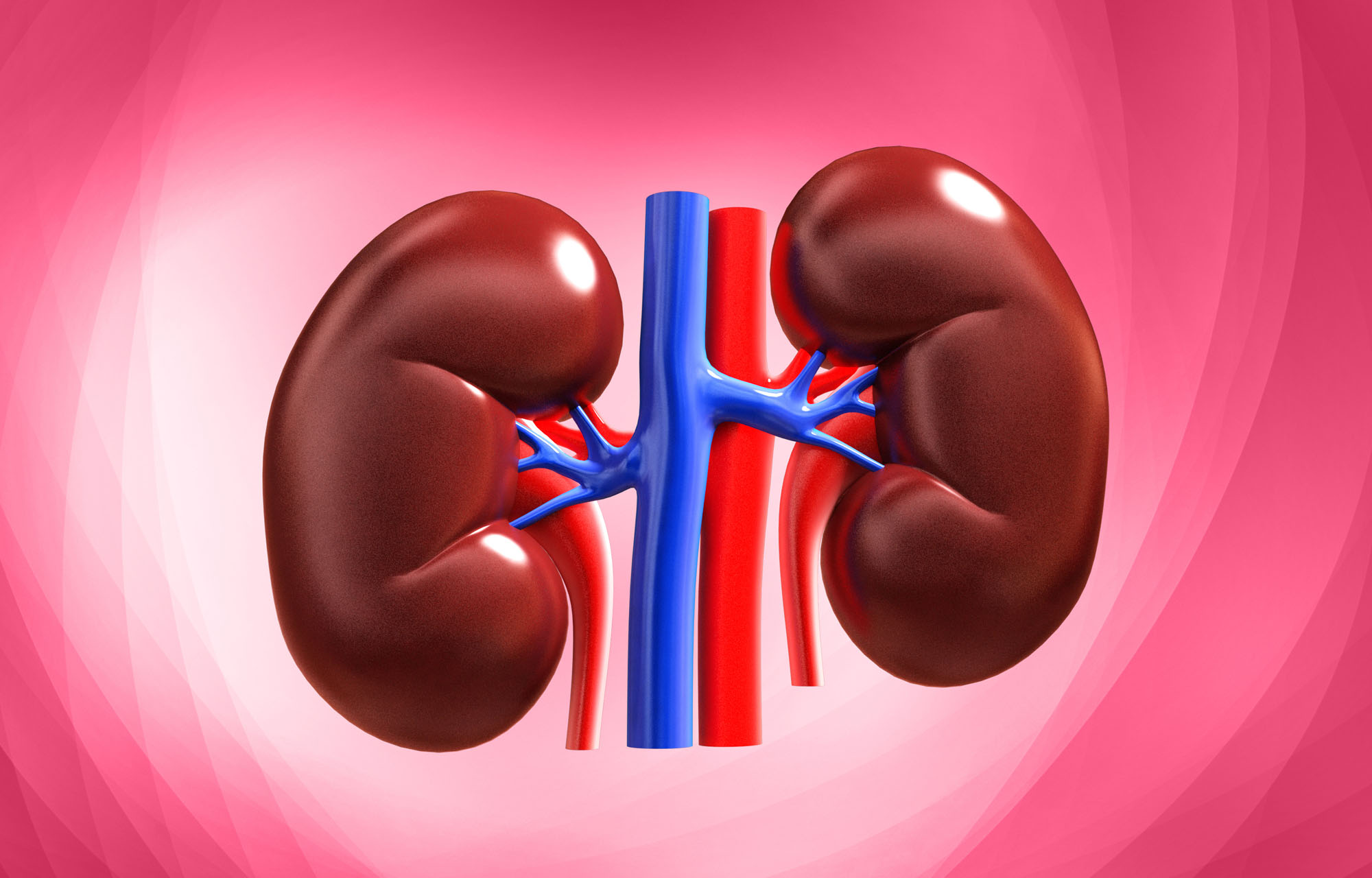 International Maritime Hospital records increase in kidney diseases