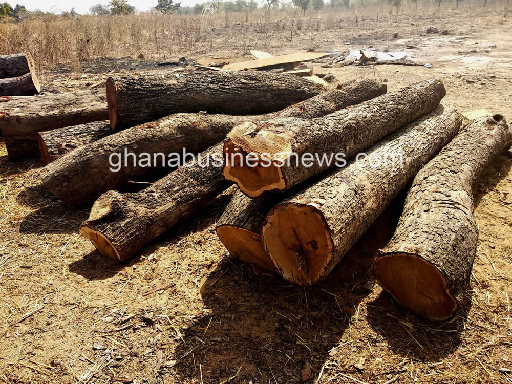 Ghana Forestry Commission to seek permission from CITES Secretariat to export rosewood in 2024