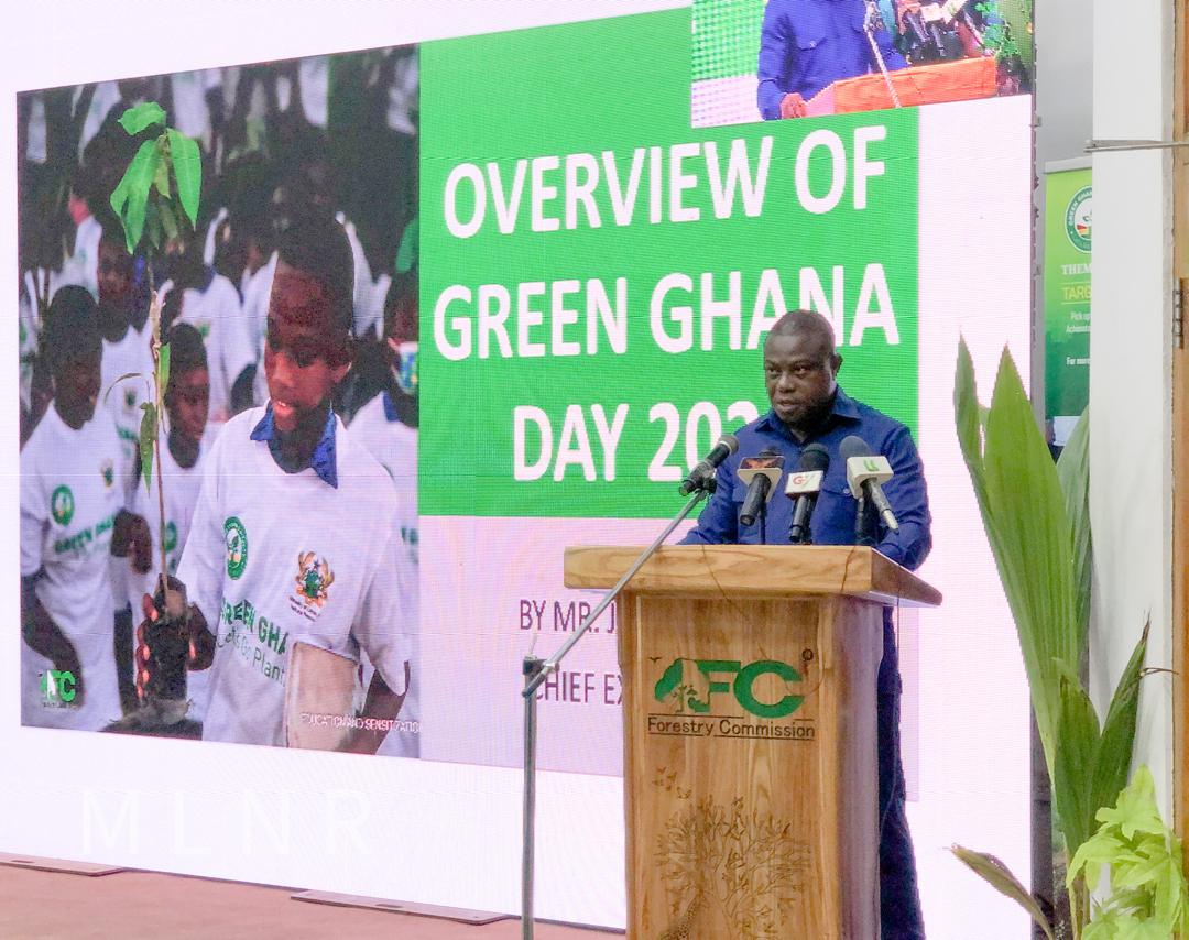 Over 13 million seedlings distributed during 2024 Green Ghana Day – Forestry Commission