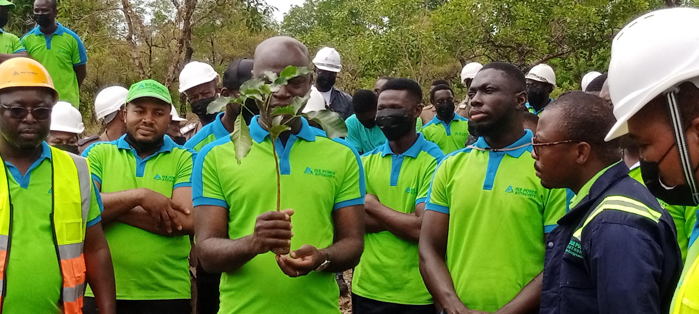 Bui Power Authority conserves 26 indigenous trees, plants 16,000 species