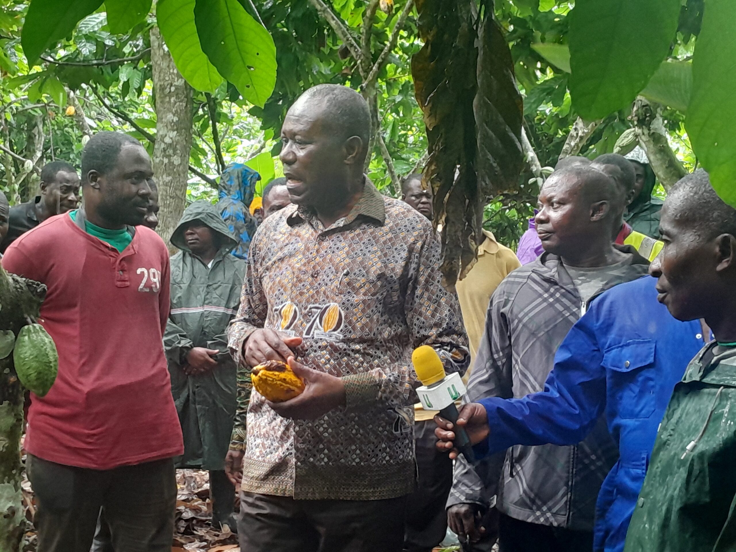 COCOBOD CEO urges cocoa farmers on best practices to increase yield