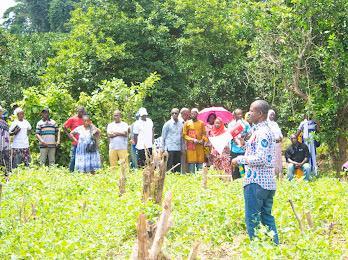 CSIR-CRI introduces farmers to common beans production technologies