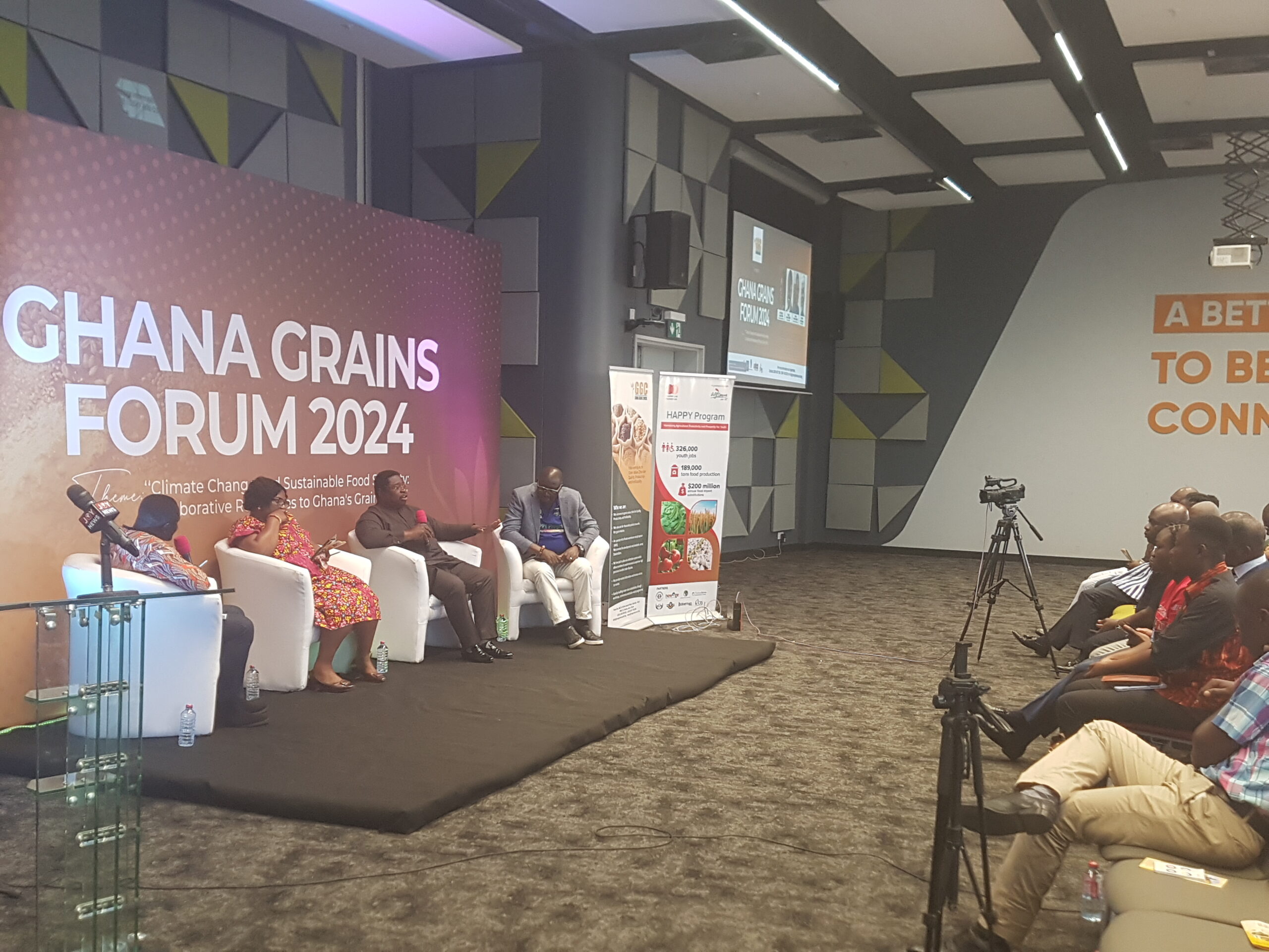 Ghana needs targeted investments to address 60% rice importation