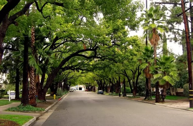 CSIR-FORIG scientist advocates for proper engineering of urban forestry