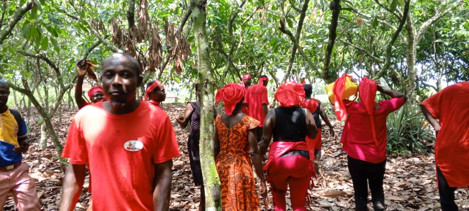  Cocoa Farmers call for government intervention to save their farmlands  